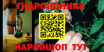 шишки Бугуруслан