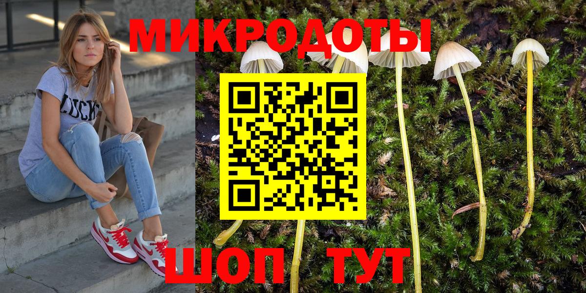 Галлюциногенные грибы Magic Shrooms Протвино